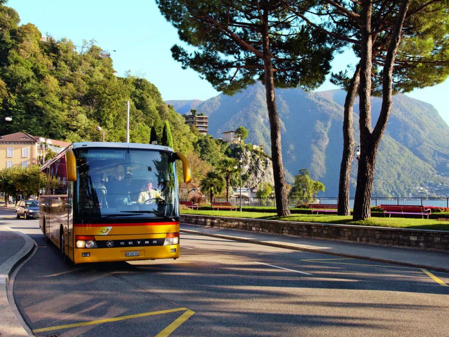 Postauto unter Palmen