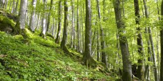 Tourismus - Mitfahrbänkli am Pragelpass wieder in Betrieb