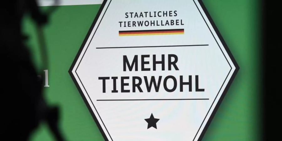 Schweinen sollen es mit dem neuen staatlichen Label laut Julia Klöckner besser gehen. Foto: Ralf Hirschberger