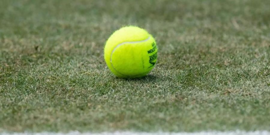Das Damen-Tennisturnier in Berlin wird auf Rasen ausgetragen. Foto: Silas Stein