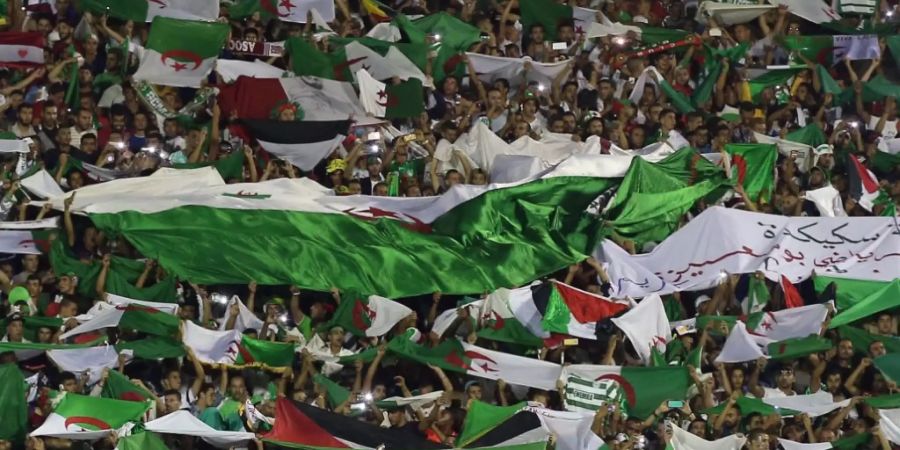 Algeriens Sieg über die Elfenbeinküste am Afrika-Cup wurde in Paris von den algerischen Fans nicht nur friedlich gefeiert