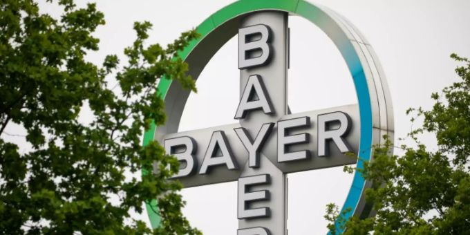 bayer