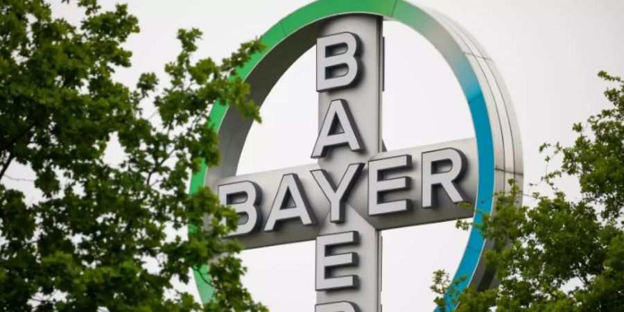 bayer