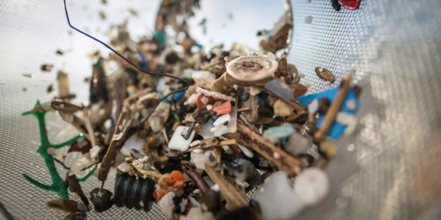 Plastik hinterlässt gefährliche Mikropartikel