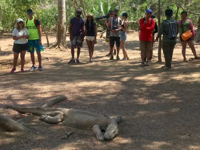 Touristen betrachten aus gebührender Entfernung einen Komodo-Waran. Komodo