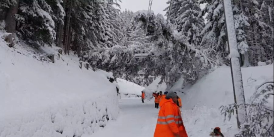 Bäume stürzten auf die Fahrleitungen der Jungfraubahn.