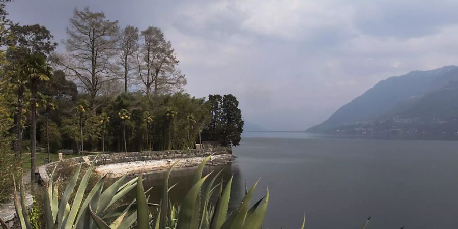 Der Kanton Tessin als neuer Verwalter der Brissago-Inseln möchte im kommenden Jahr deren touristischer Auftritt neu konzipieren.