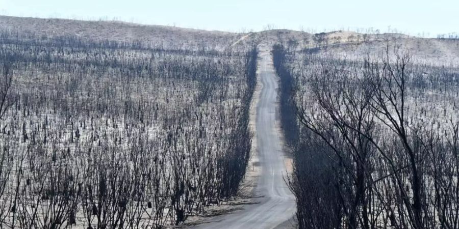 brand australien