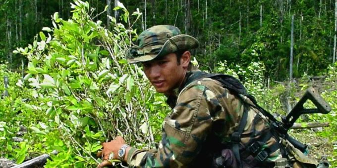 Kolumbianischer Soldat bei Vernichtung von Koka-Pflanzen Kolumbianischer Soldat bei Vernichtung von Koka-Pflanzen