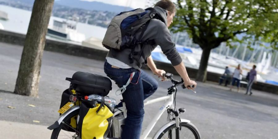 E-Bike Vignette günstig
