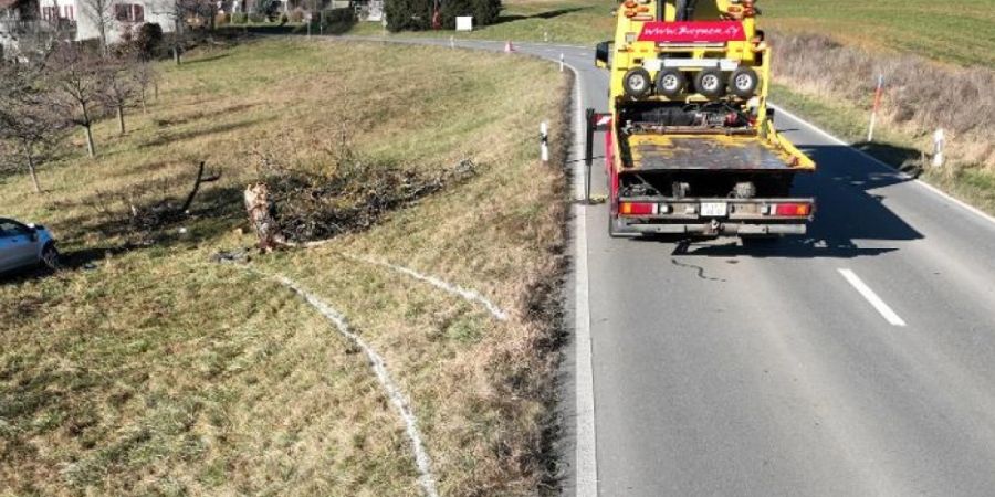 Die Aufnahme der Schaffhauser Polizei zeigt, wie das Auto in Richtung Baum fuhr.