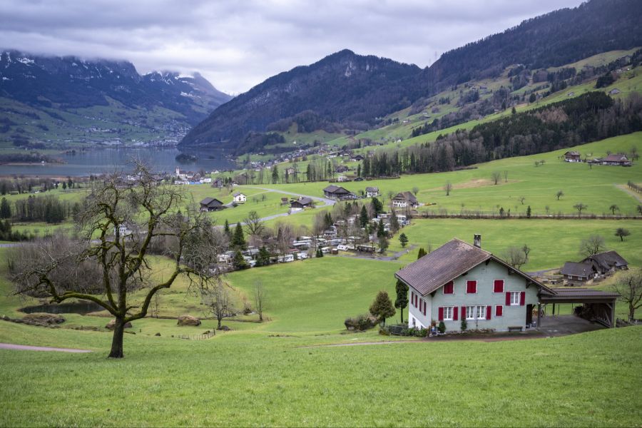 Erwin Hammer engagiert sich als Naturschützer gegen das geplante Zentrum. Er befürchtet eine «Verschandelung» der Landschaft am Lauerzersee.