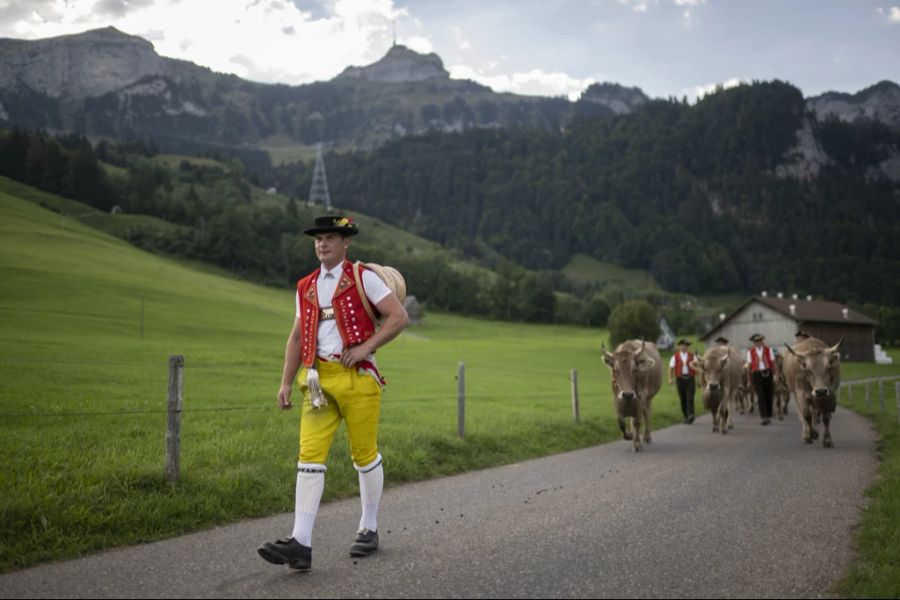 Andere warten noch zu und hoffen auf trockeneres Wetter.