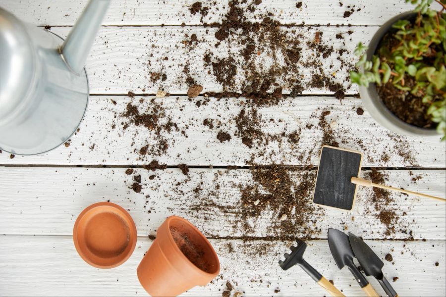 Stockfotografie Pflanze, Giesskanne, Werkzeug und Blumentöpfe auf weissem Holztisch.