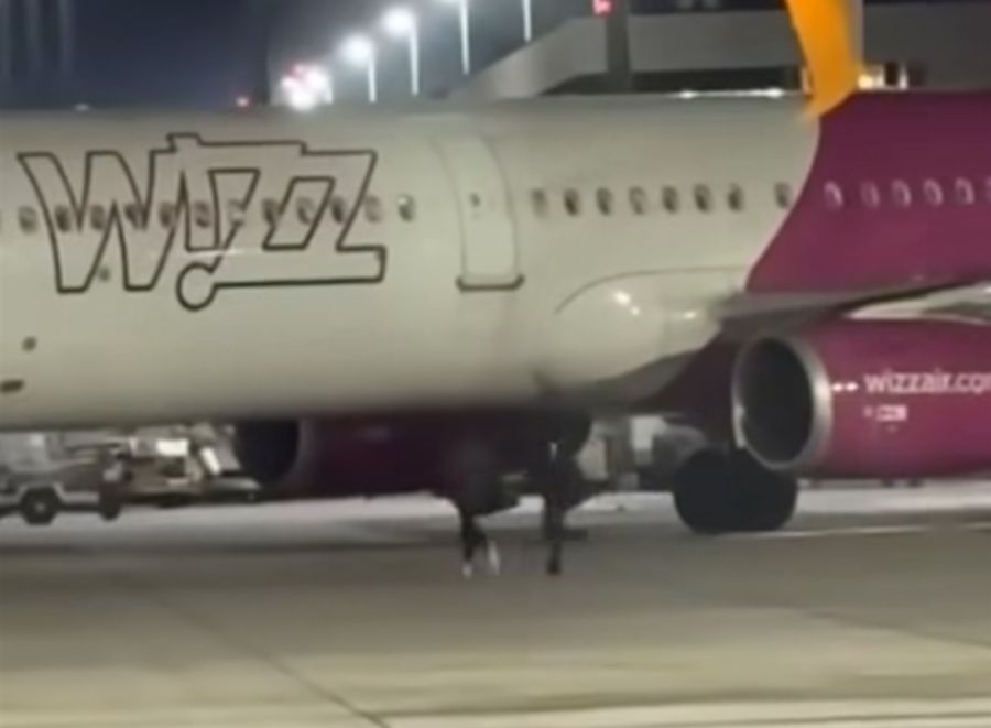 «Halt! Bitte warten! Wir wollen auch aufs Flugzeug!»