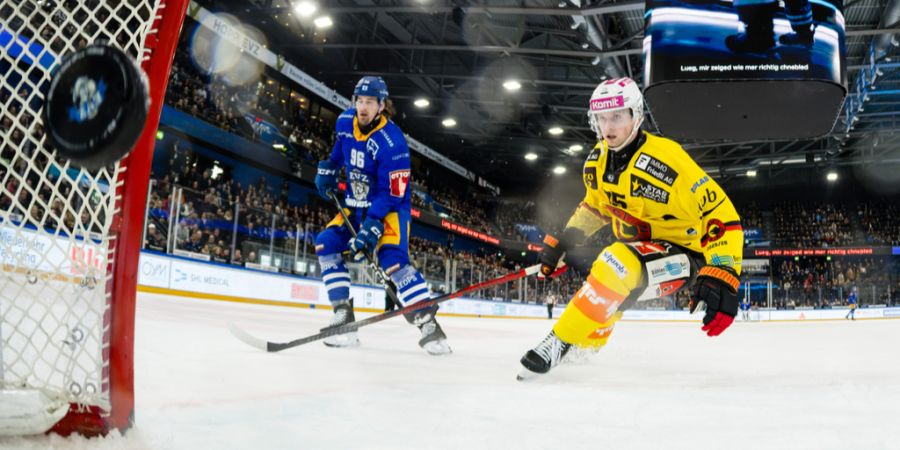 SC Bern