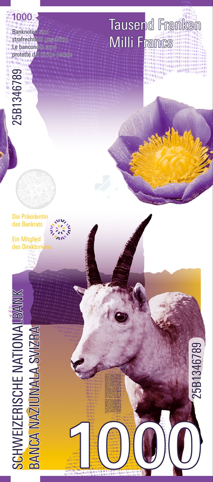 Welche Banknote gefällt dir am besten? Schreib es in die Kommentare.