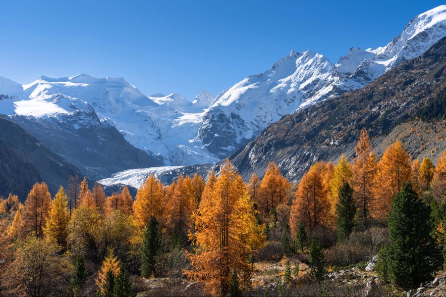 Herbst