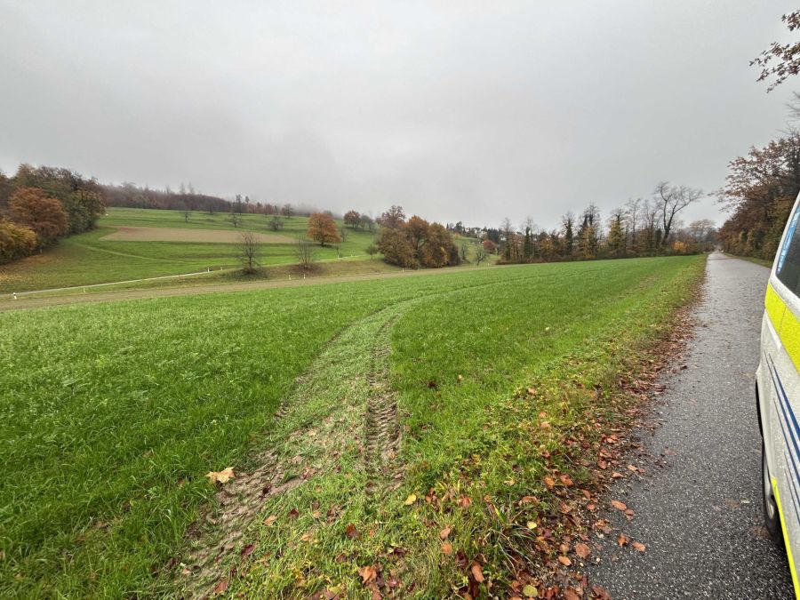 Die Kantonspolizei sucht Zeugen.