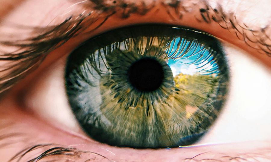 Auch im menschlichen Auge kommt «c-Opsin» vor, sorgt jedoch nicht für Wachstum. (Symbolbild)