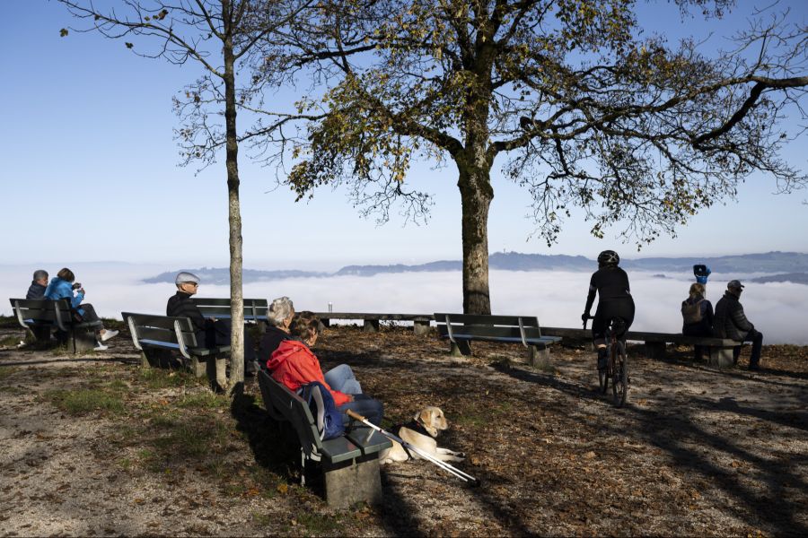 Die Höchsttemperaturen im Flachland liegen zwischen 4 und 8 Grad.