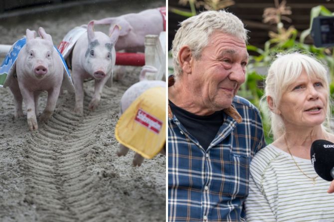 Olma Säulirennen neue Trainer