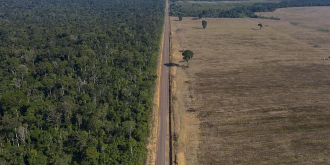 soja amazonas