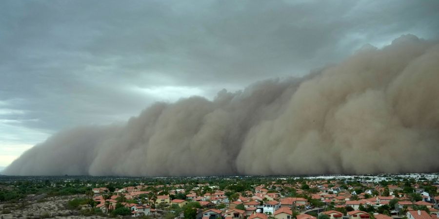 Phoenix Sturm