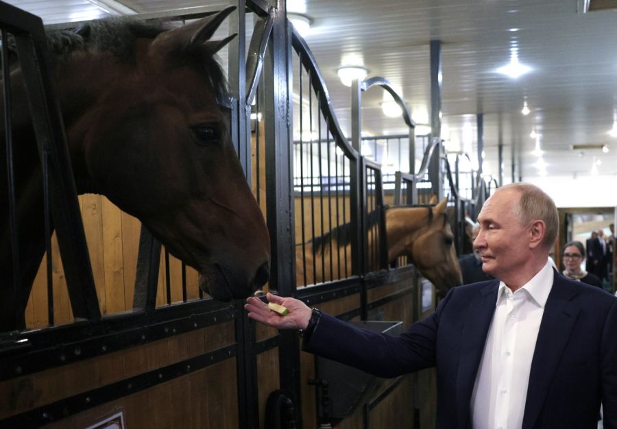 Russland setzt in der Ukraine Pferde ein.