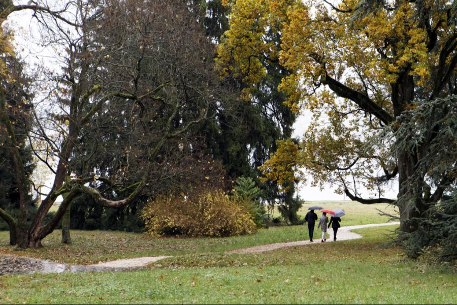 Am Sonntag ist dann von Vorteil, wenn man beim Spaziergang einen Regenschirm oder einen Regenschutz dabei hat.