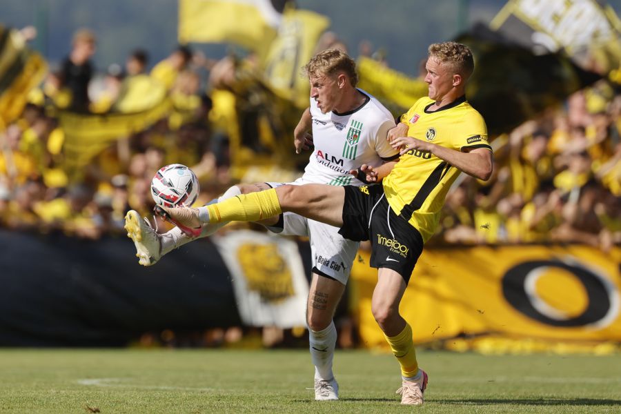 Dominik Pech YB