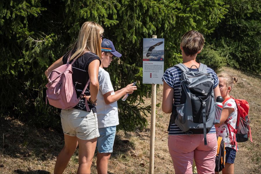 Schild Familie Wald Sommer