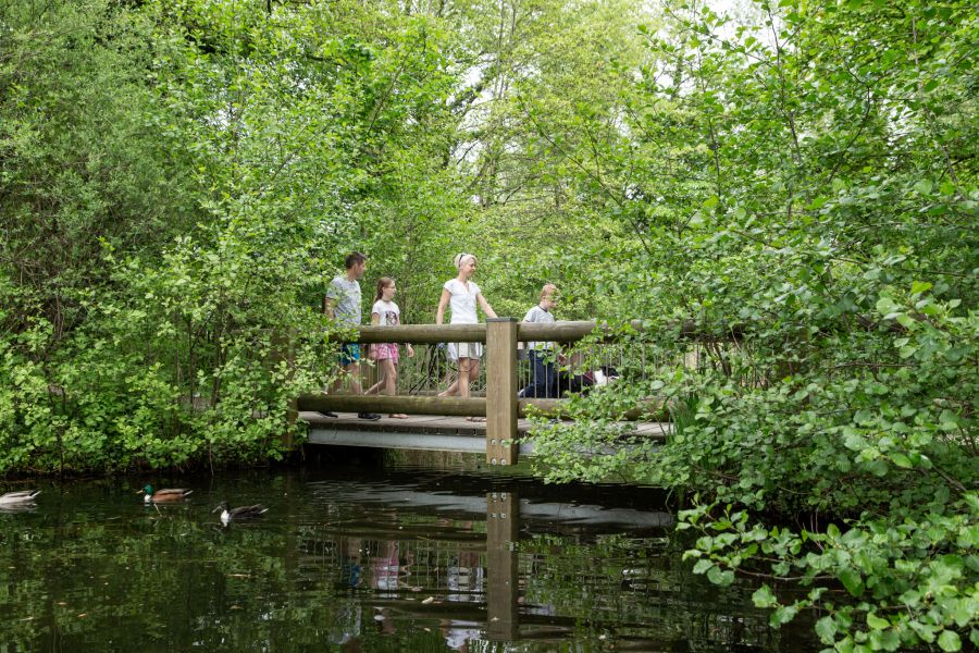 Seeburgpark: Ein Ort der Ruhe und Erholung mitten in der Natur.