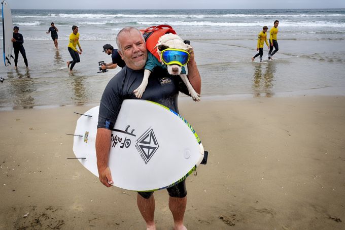 Hund Faith surfte trotz Taubheit und Sehbehinderung. Hunde Surfen