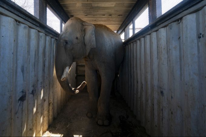 Wegen der Bandengewalt musste ein Wildtierreservat in Mexiko seine Tiere umsiedeln. mexiko