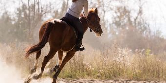 Frau reitet auf Pferd.