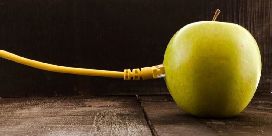 Apfel mit LAN Kabel