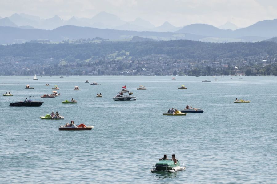 Der Seriendieb hatte es auf Luxusboote auf dem Zürichsee abgesehen. (Symbolbild)