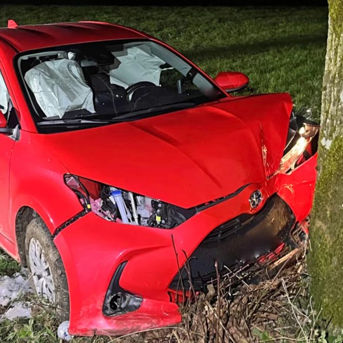 Lernfahrer Baum Auto Luzern