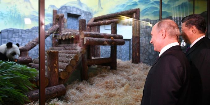 Tiere als Ausdruck freundschaftlicher Beziehungen zwischen den Ländern: Der Moskauer Zoo profitierte auch schon von dieser Art der Diplomatie - als Chinas Staats- und Parteichef Xi Jinping (rechts) Putin Pandabären schenkte. (Archivbild) Tiere als Ausdruck freundschaftlicher Beziehungen zwischen den Ländern: Der Moskauer Zoo profitierte auch schon von dieser Art der Diplomatie - als Chinas Staats- und Parteichef Xi Jinping (rechts) Putin Pandabären schenkte. (Archivbild)