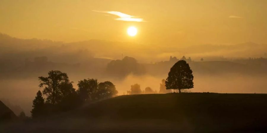 nebel sonne wetter