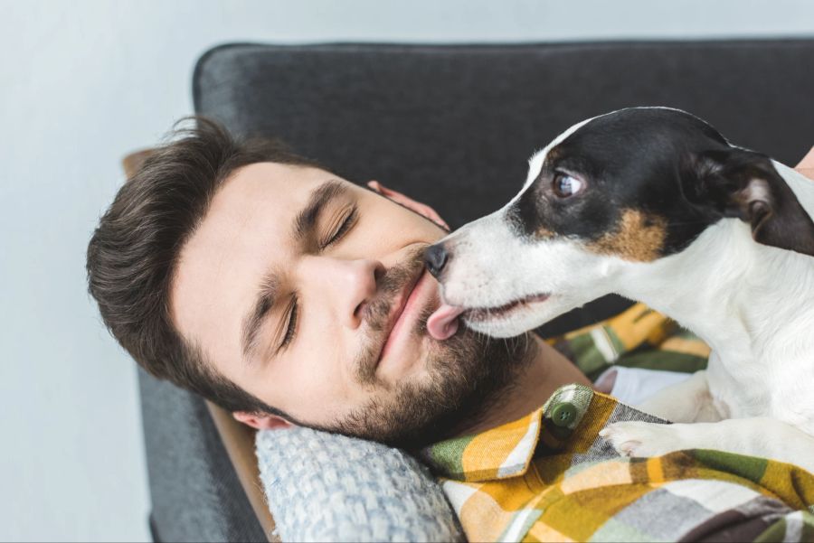 Hund leckt sein Herrchen im Gesicht