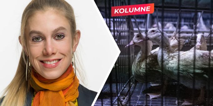 Meret Schneider - Tierquälerei stoppen – die Stopfleber verbieten!