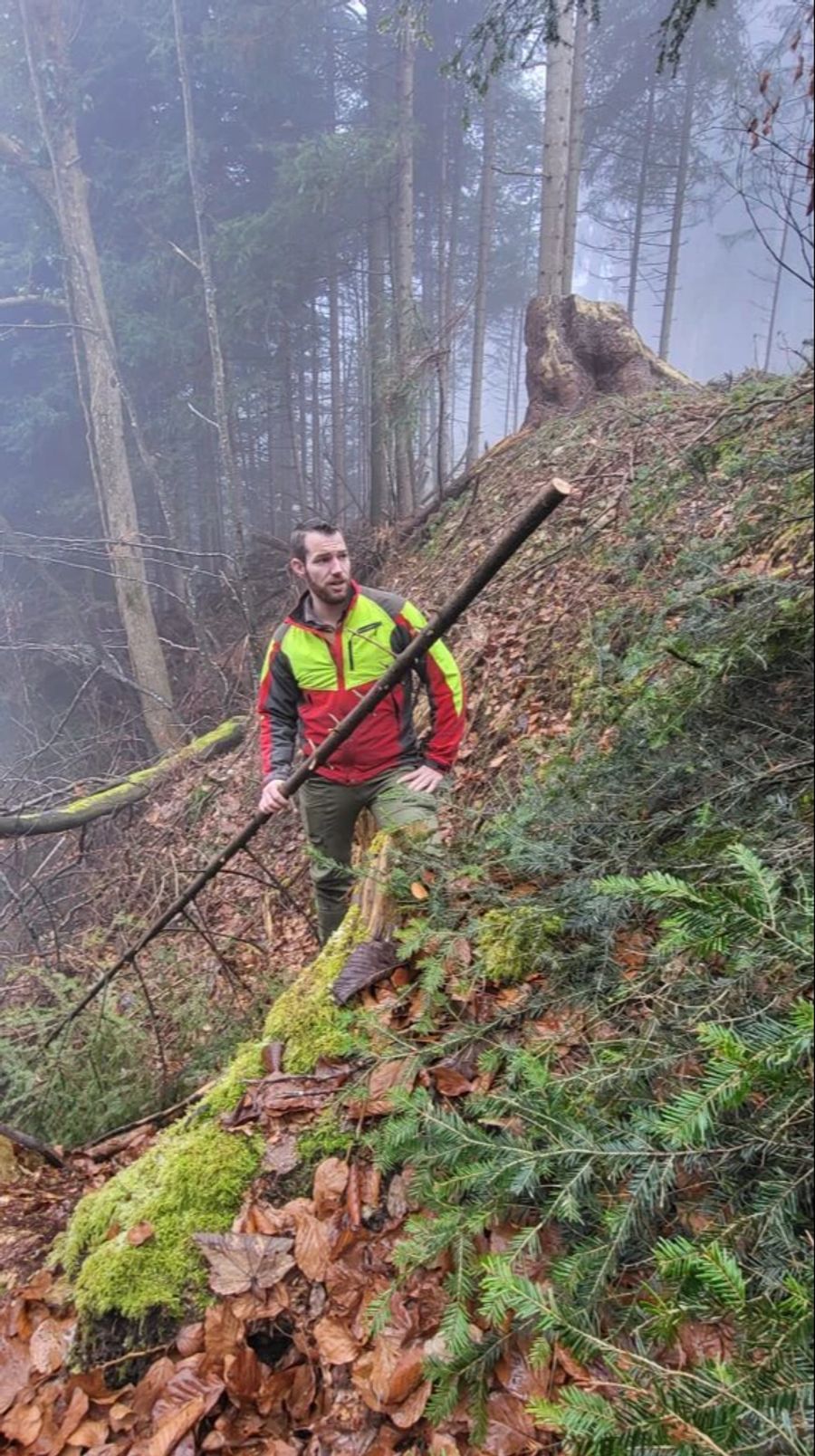 Erst im letzten Winter wurde im Wald eine Naturverjüngungsaktion durchgeführt.