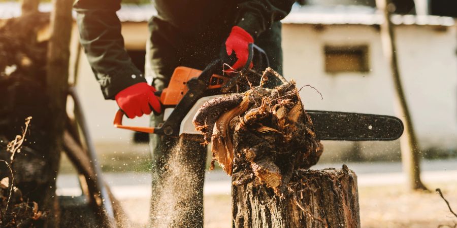 Baumstamm Motorsäge Mann Holz