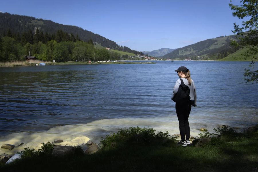 Viele sind aber auch gleichgültig und werden stattdessen andere Bergseen und Täler besuchen, beispielsweise den Schwarzsee.