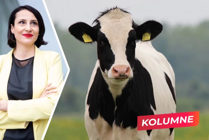 Vegan-Kolumne