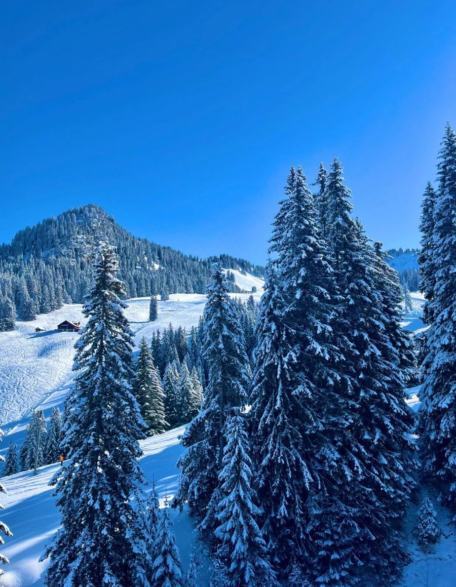 Will dank dem Magic Pass neue Besuchende anlocken: das Skigebiet Gstaad.