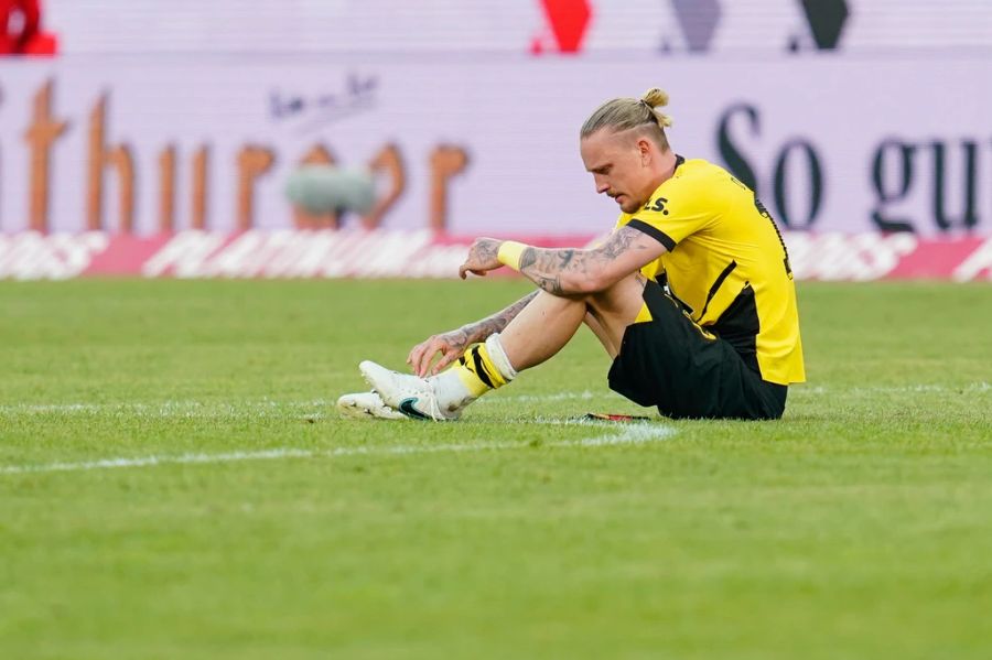 bvb