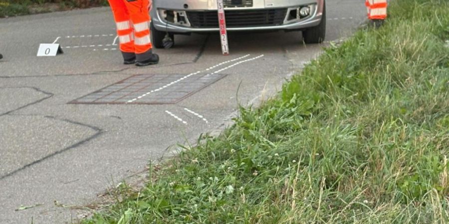 Quelle: Kantonspolizei Zürich